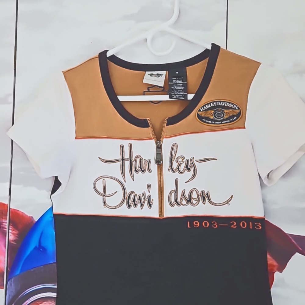 Harley Davidson 110th anniversary tee shirt small